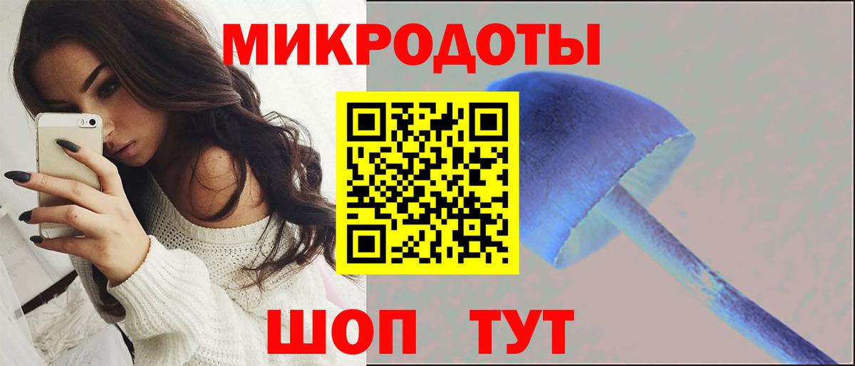 хочу наркоту  Галлюциногенные грибы Psilocybine cubensis  Галлюциногенные грибы Cubensis  Вход с VPN  Белорецк 